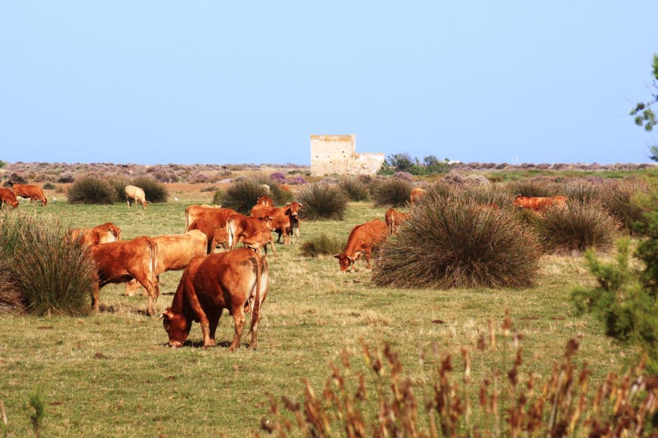 Herdade Dos Salgados Do Fialho Фару Екстер'єр фото