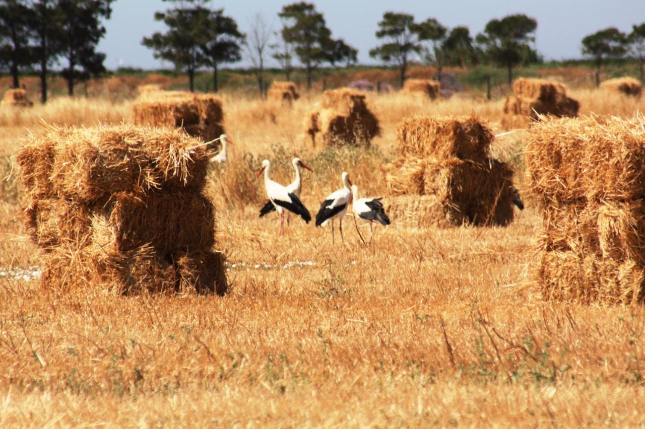 Herdade Dos Salgados Do Fialho Фару Екстер'єр фото