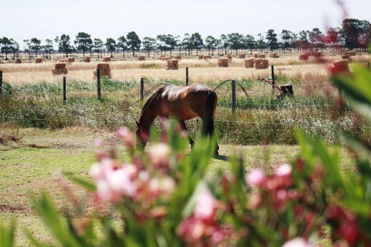 Herdade Dos Salgados Do Fialho Фару Екстер'єр фото