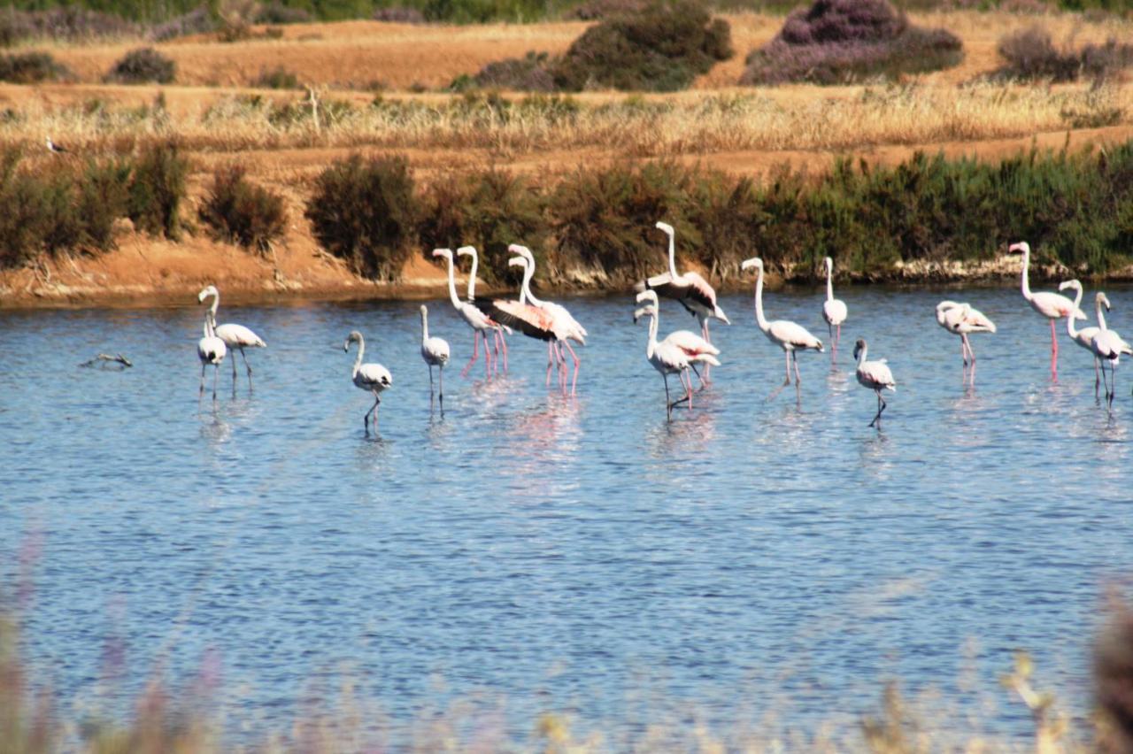 Herdade Dos Salgados Do Fialho Фару Екстер'єр фото