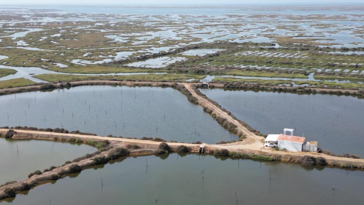 Herdade Dos Salgados Do Fialho Фару Екстер'єр фото