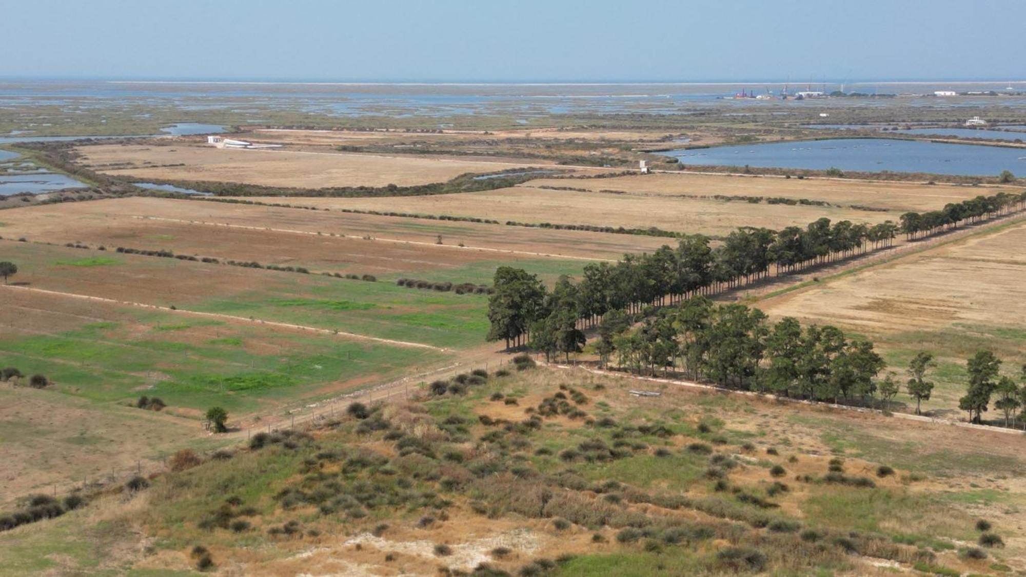 Herdade Dos Salgados Do Fialho Фару Екстер'єр фото